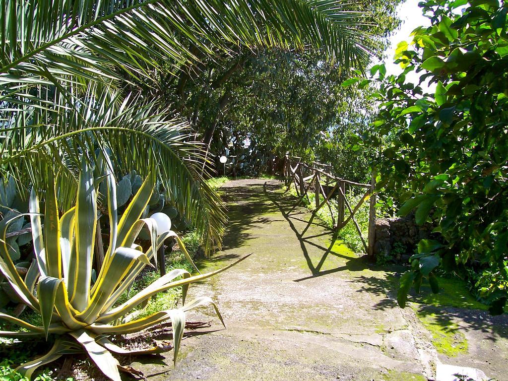 Il Limoneto Acireale Villa Exterior photo